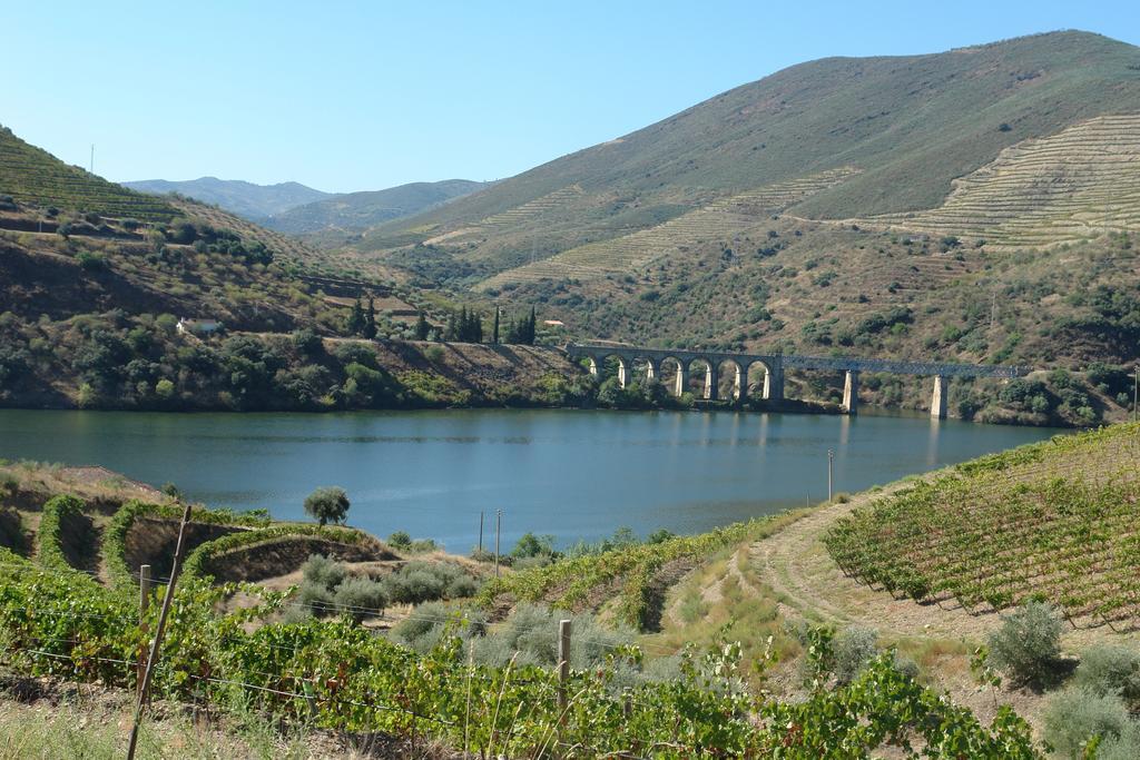 Гостевой дом Quinta Vale De Carvalho Pinhal do Douro Экстерьер фото