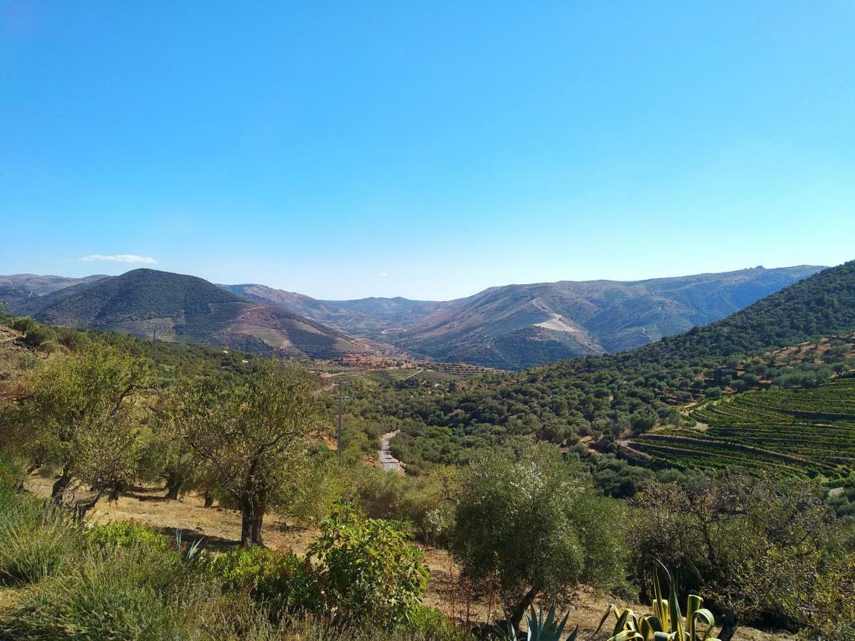 Гостевой дом Quinta Vale De Carvalho Pinhal do Douro Экстерьер фото